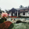 Image Gallery of Green Inn Homestay