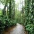 Image Gallery of Coffee Trails Chikmagalur