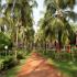 Image Gallery of Summer Sands Beach Resort