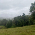 Image Gallery of Raintree Eco Stay
