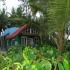Image Gallery of Bird of Paradise Homestay