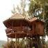 Image Gallery of Bird of Paradise Homestay