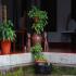 Image Gallery of Kolavara Heritage Homestay