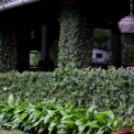 Image Gallery of Kolavara Heritage Homestay