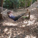 Image Gallery of Balagatte Estate Homestay