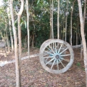 Image Gallery of Balagatte Estate Homestay