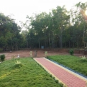 Image Gallery of Balagatte Estate Homestay