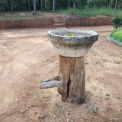 Image Gallery of Balagatte Estate Homestay