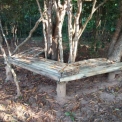 Image Gallery of Balagatte Estate Homestay