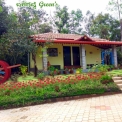 Image Gallery of Balagatte Estate Homestay