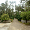 Image Gallery of Kammargodu Homestay