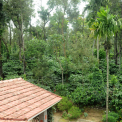 Image Gallery of Kammargodu Homestay
