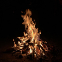 Image Gallery of Kammargodu Homestay