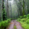 Image Gallery of Kammargodu Homestay