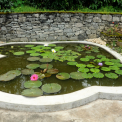 Image Gallery of Kammargodu Homestay