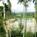 Image Gallery of Kammargodu Homestay