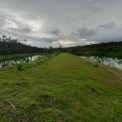 Image Gallery of Kammargodu Homestay