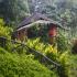 Image Gallery of Hornbill River Resort