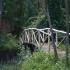 Image Gallery of Hornbill River Resort