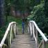 Image Gallery of Hornbill River Resort