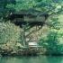 Image Gallery of Hornbill River Resort