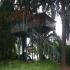 Image Gallery of Hornbill River Resort