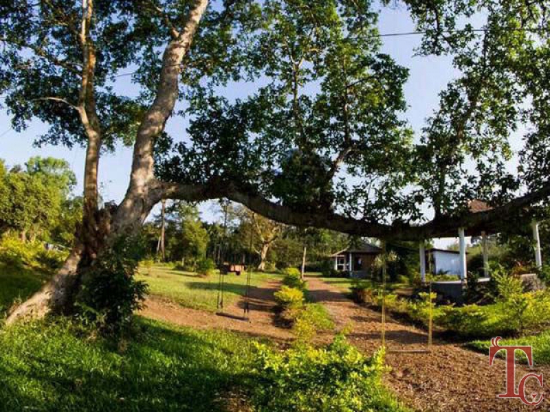 Book Muccole Stay in Coorg | Reserve Rooms at Muccole Homestay near Madikeri | Best deals for Muccole Homestay Online