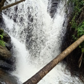 Image Gallery of Guddadasiri Homestay