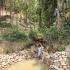Image Gallery of Saalu Gudda Homestay