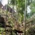 Image Gallery of Saalu Gudda Homestay