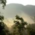 Image Gallery of Saalu Gudda Homestay