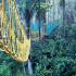 Image Gallery of Saalu Gudda Homestay