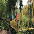 Image Gallery of Saalu Gudda Homestay