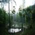 Image Gallery of Saalu Gudda Homestay