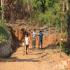 Image Gallery of Saalu Gudda Homestay