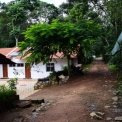 Image Gallery of Silver Leaf Homestay