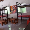 Image Gallery of Silver Leaf Homestay