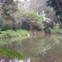 Image Gallery of Harnalli Homestay