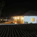 Image Gallery of Robusta Valley Homestay