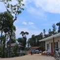 Image Gallery of Robusta Valley Homestay