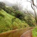 Image Gallery of Mugila Mane Homestay