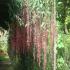 Image Gallery of Oakridge Homestay