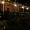 Image Gallery of Nesting Grounds