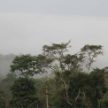 Image Gallery of Nesting Grounds