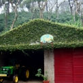 Image Gallery of Nesting Grounds
