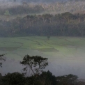 Image Gallery of Nesting Grounds