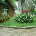 Image Gallery of Nesting Grounds