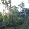 Image Gallery of Saaranga Homestay
