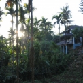 Image Gallery of Saaranga Homestay