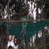 Image Gallery of Waterfront Homestay